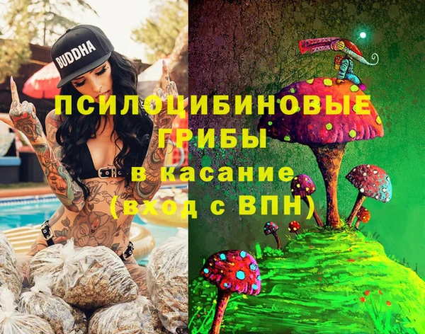 ГАЛЛЮЦИНОГЕННЫЕ ГРИБЫ Бронницы